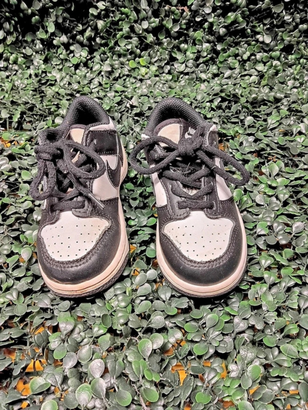 Nike Dunk Low Sneakers Black & White Toddler Size 8.5